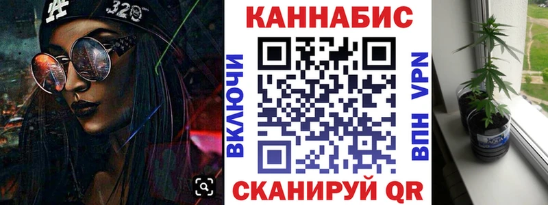 Бошки марихуана THC 21%  Купить где  Электрогорск 